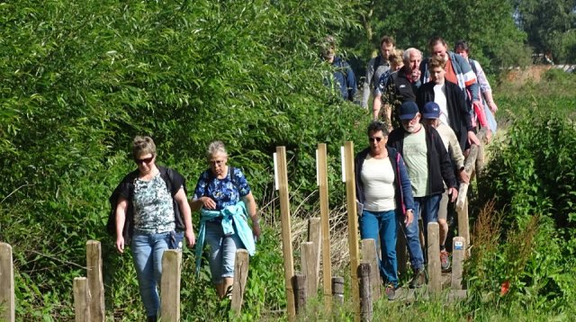 Singels en essen wandeltocht (zondag  9 juni 2024)
